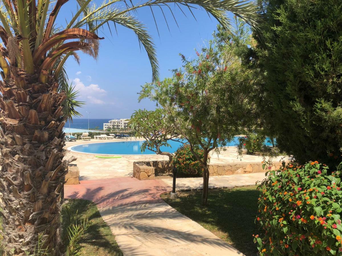 Kings Palace - Fabulous Pool-Side 2 Bed Apartment بافوس المظهر الخارجي الصورة